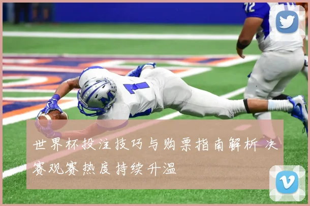 世界杯投注技巧与购票指南解析 决赛观赛热度持续升温