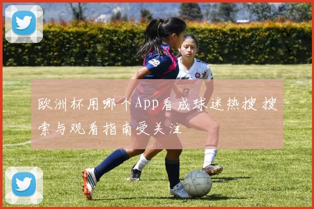 欧洲杯用哪个App看成球迷热搜 搜索与观看指南受关注