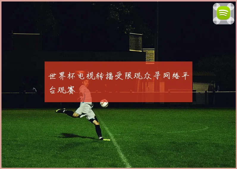 世界杯电视转播受限观众寻网络平台观赛